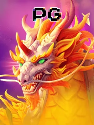 Partner 8